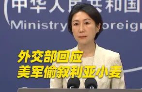 “美国打着反恐的旗号，心里装的是掠夺资源的算计”