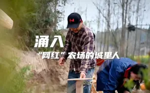 涌入“网红”农场的城里人