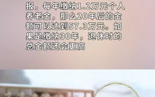 个人养老金顶额存20年或可拿57万