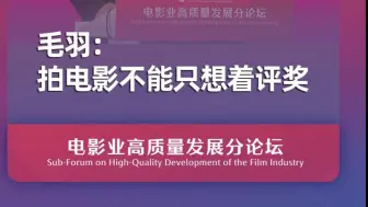 毛羽：拍电影不能只想着评奖