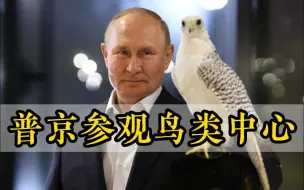 普京参观堪察加鸟类中心 游隼久久停留 不愿离开