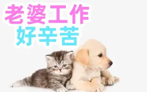 【停不下来06】律师、码农、货运谁辛苦？货运员：我的护士爱人最辛苦