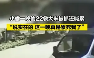 小偷一晚偷22袋大米被抓还喊累：“说实在的，这一晚真是累死我了”
