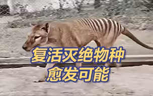 人类首次从灭绝物种中提取RNA 复活灭绝物种愈发可能！