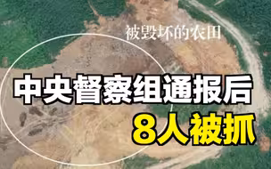 【午夜拍案】中央督察组通报后，8人被抓