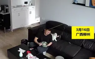 有点废人！主人被猫咪拉玩具绳勒脖子弹脸