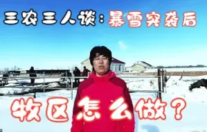 【三农三人谈】暴雪突袭后 牧区防灾减灾怎么做？