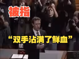 扎克伯格听证会上被指“手上沾满鲜血”， 现场起身道歉
