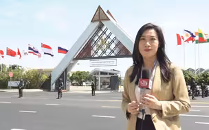 记者观察：坚持合作发展互利共赢 中国在国际舞台吸引力十足