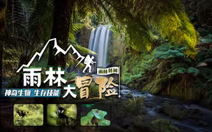 出发！一起去雨林大冒险！