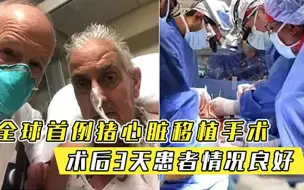 要么死，要么移植，57岁男子接受猪心脏移植手术，成果喜人
