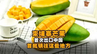 柬埔寨芒果首次出口中国，首批销往这些地方