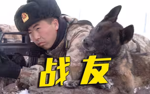 “戍边”军犬上班时VS下班后的不同表现