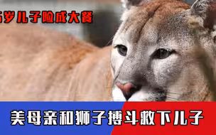 5岁男孩险成狮子大餐，美女子赤手空拳冲上去搏斗，从狮口成功救下儿子