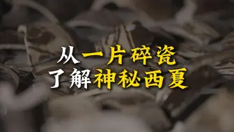 从一片碎瓷 了解神秘的西夏