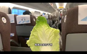 一颗小白菜的进京之旅
