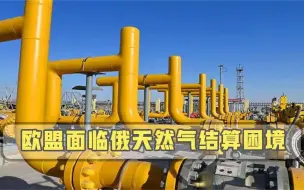不用卢布结算就“断气”，欧盟面临结算困境，或将对输气中断做准备.mp4