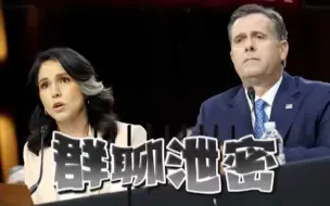 美国“群聊泄密”2名当事高官在听证会遭围攻 被民主党人连连逼问