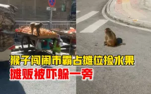 猴子闯闹市霸占摊位捡水果，摊贩被吓躲一旁，居民：不是第一次来