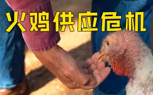 二氧化碳短缺 英国或将面临圣诞节火鸡供应危机