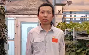 中国人南极种菜！长城站每天收获一公斤鲜菜