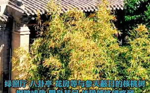 全国重点文物保护单位：鲁土司衙门——花园与绿照厅、鲁土司衙门——石像生（图文由兰州市文物保护中心提供）#中国兰州网·博览