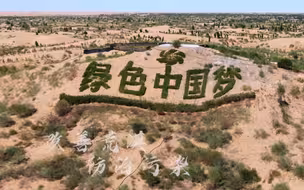 《黄河安澜》第四集《重现盎然》为您展开生态黄河碧波万顷、草丰水美、鹰击长空、鱼翔浅底的美丽画卷！