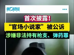 首次披露！“官场小说家”被公诉，涉嫌非法持有枪支、弹药罪