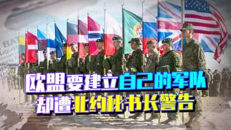 不满被美国控制，欧盟要出来“单干”，却遭北约秘书长警告
