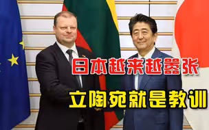 越来越嚣张！日本推进与台当局“官方往来”，争当下一个立陶宛？