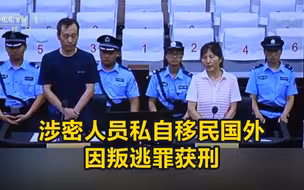 涉密人员私自移民国外，因叛逃罪获刑