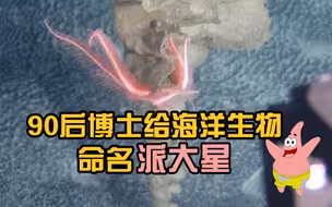 90后博士给海洋生物命名派大星