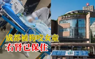 成都被狗咬女童右肾已保住