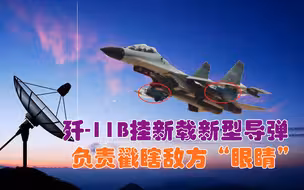 空战非首要任务？歼-11挂新弹引俄专家猜测：能戳瞎敌方“眼睛”