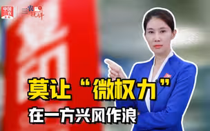 三农锐评丨24个乡镇照顾一家打印店174万元  莫让“微权力”在一方兴风作浪