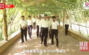 时政现场说丨小葡萄“串”起乡村振兴大产业