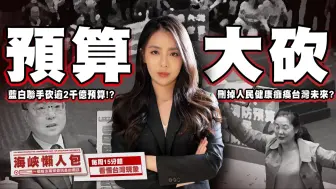 预算大砍 蓝白砍逾2千亿预算!? 删掉人民健康瘫痪未来?【海峡懒人包】