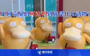 全网霸屏的可达鸭到底是什么动物？