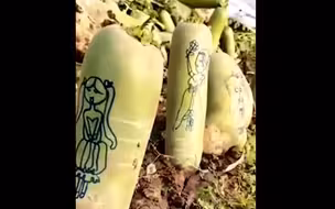 父亲的宠爱！8岁女儿在自家种的萝卜上画画