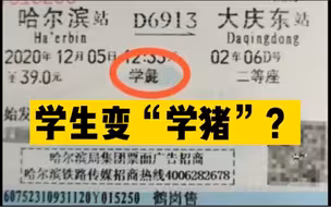 火车票上“学生”变“学彘”？铁路部门：从没遇到过这种情况。