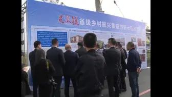 访山问海 谋发展之道！苍南县委书记陈永光调研乡镇和建设平台