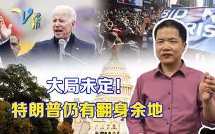 特朗普仍有翻盘余地？若绝不承认总统大选结果，还有多种手段可用
