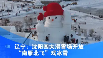 辽宁：沈阳四大滑雪场开放 “南雁北飞”戏冰雪