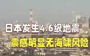 日本茨城县发生4.6级地震 震感明显无海啸风险