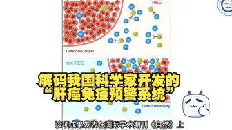 解码我国科学家开发的“肝癌免疫预警系统”