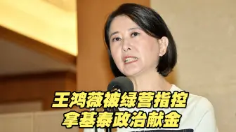被绿营指控拿基泰政治献金，王鸿薇揭两绿营市议员也拿钱