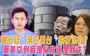 谢长廷“亲日黑台”怕被法办？蔡英文到底是纵容还是默许？岛内一片骂！
