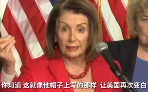 佩洛西：特朗普这是想“让美国再次变白”！