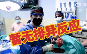 全球首例心脏病患者接受猪心脏移植