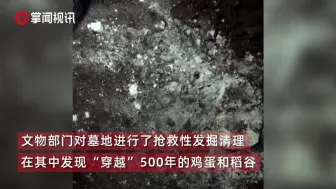 四川广安现明代古墓！500年前的鸡蛋和稻谷出土外形完好